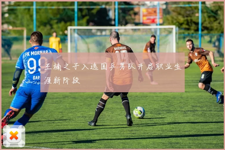 王楠之子入选国乒男队开启职业生涯新阶段