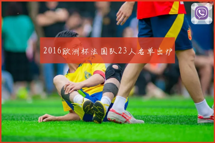 2016欧洲杯法国队23人名单出炉