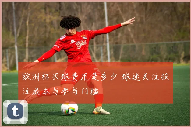 欧洲杯买球费用是多少 球迷关注投注成本与参与门槛
